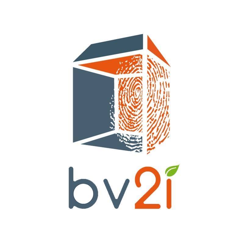 logo bv2i